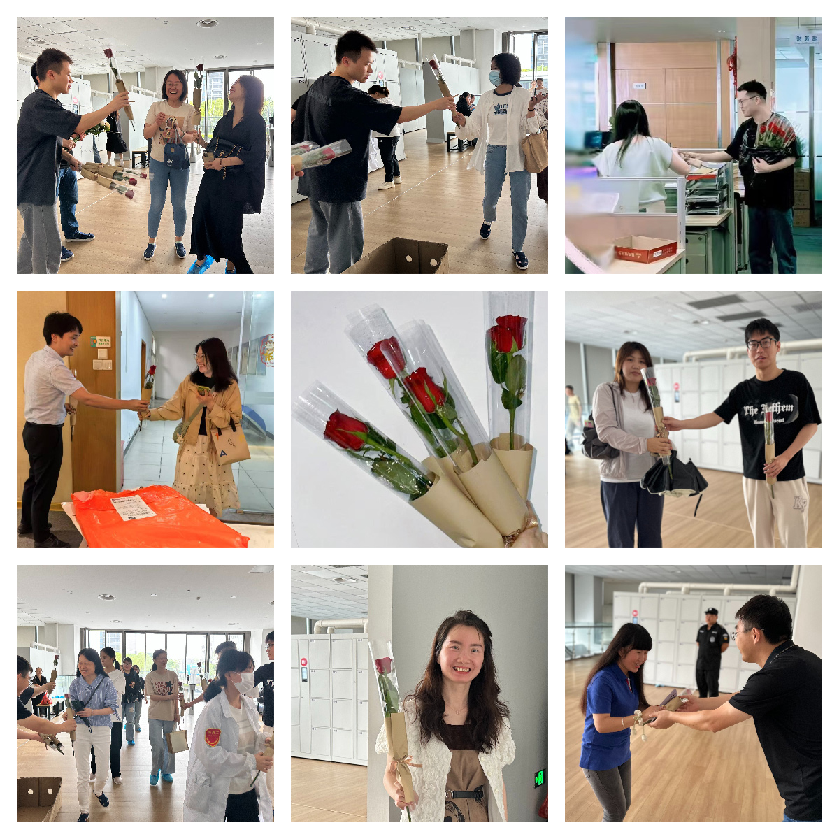 以玫瑰之名，致敬每一個(gè)發(fā)光的你(圖2)